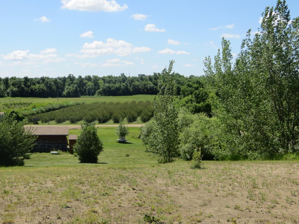 Orchard View Bed And Breakfast Moose Jaw Exterior foto