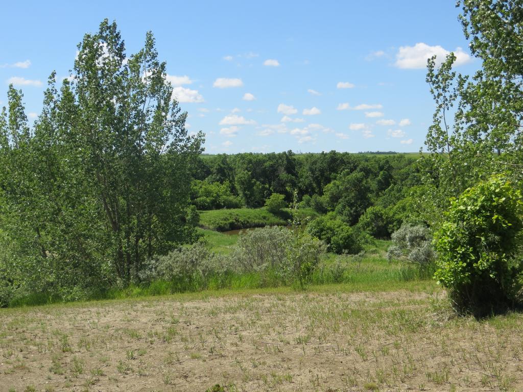 Orchard View Bed And Breakfast Moose Jaw Exterior foto